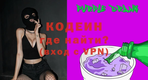 индика Балахна