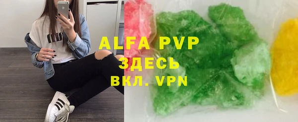 индика Балахна