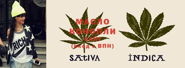индика Балахна