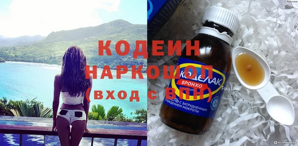 индика Балахна