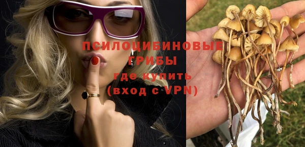 2c-b Балабаново