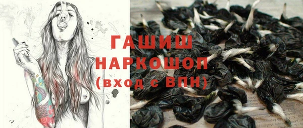 индика Балахна