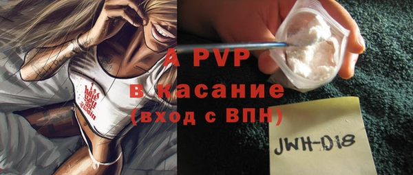 индика Балахна