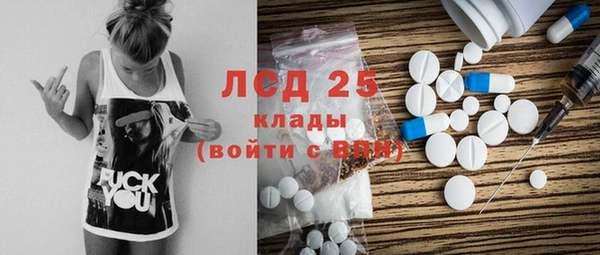 индика Балахна