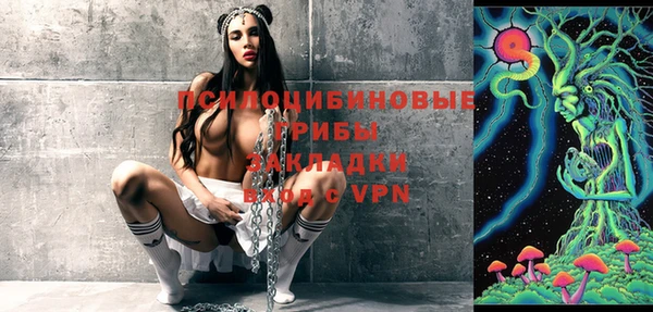 индика Балахна